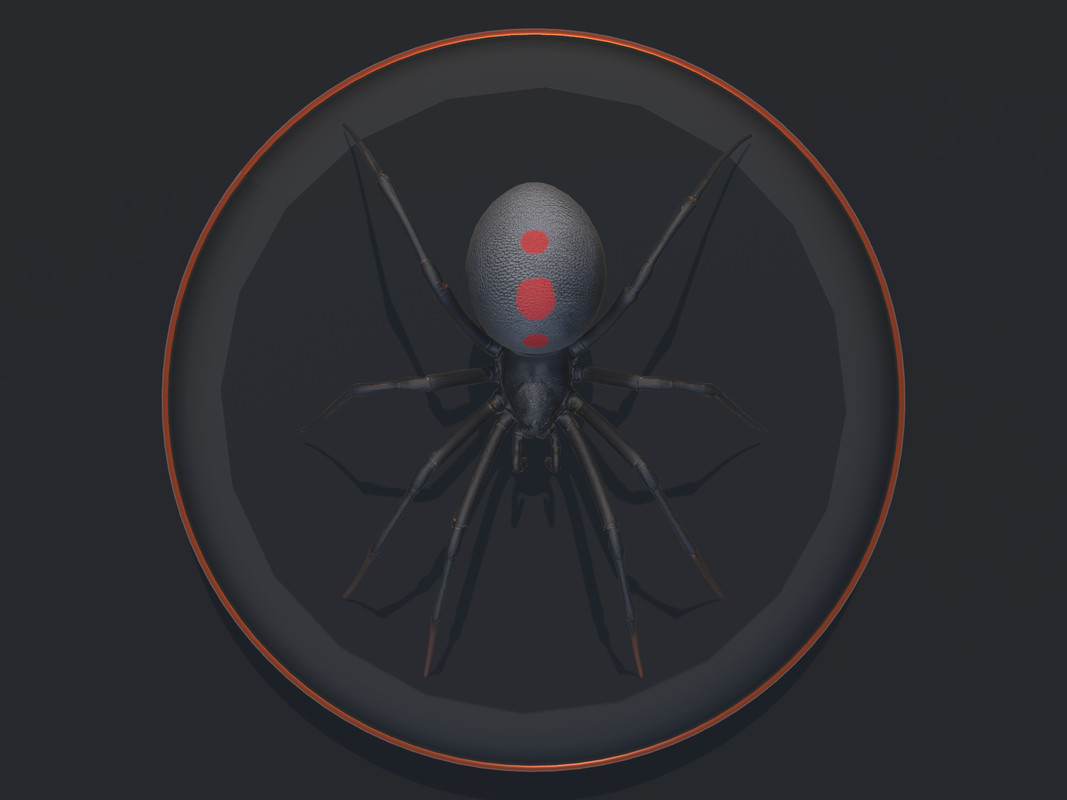 Black Widow — top view