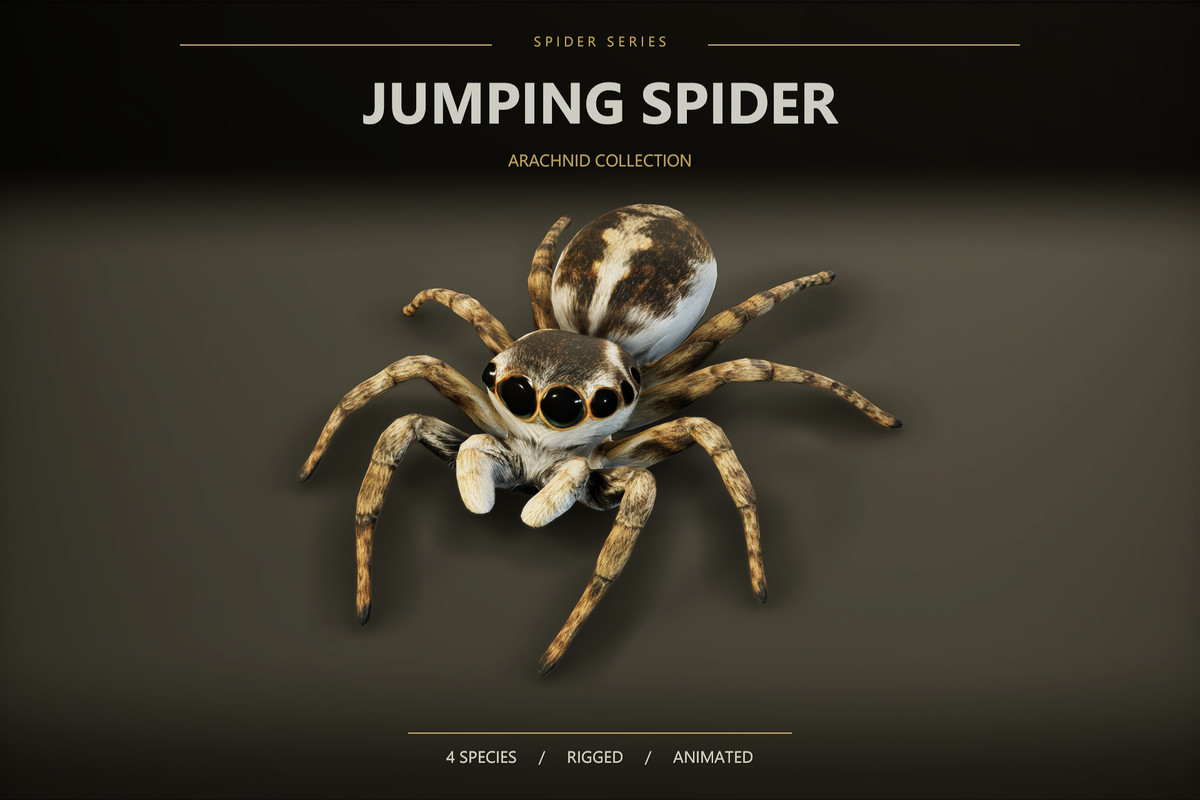 Arachnid Collection — image 3