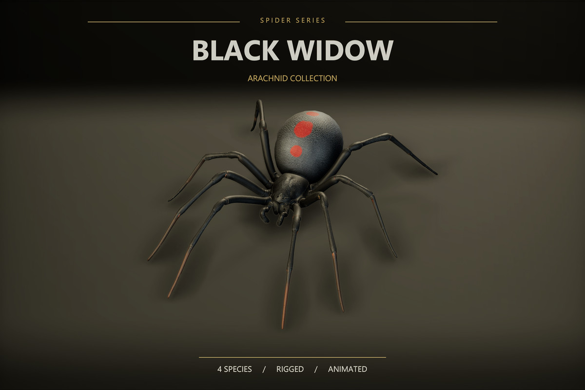 Arachnid Collection — image 4
