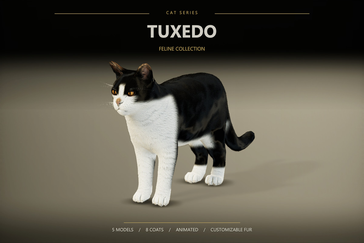 Realistic Cat Pack — image 8