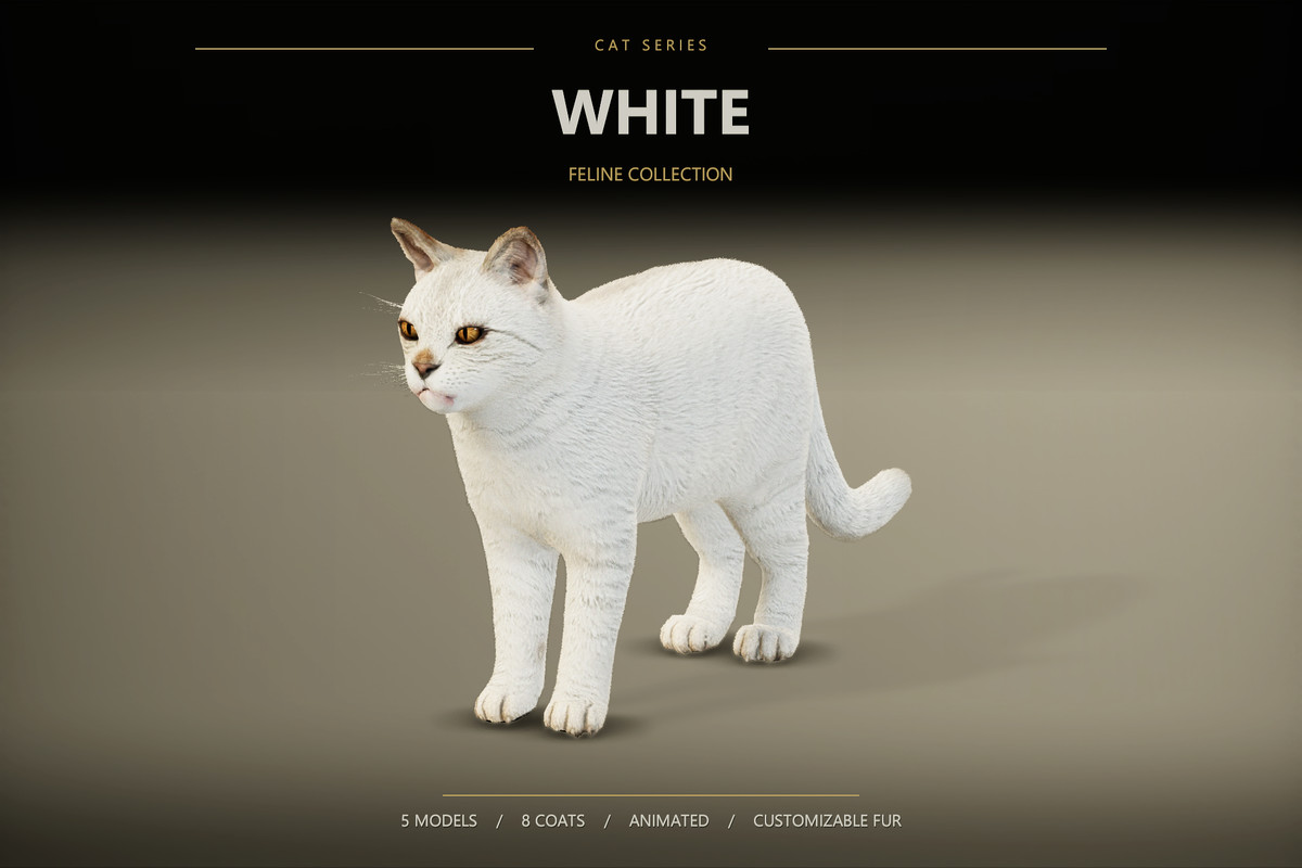 Realistic Cat Pack — image 9