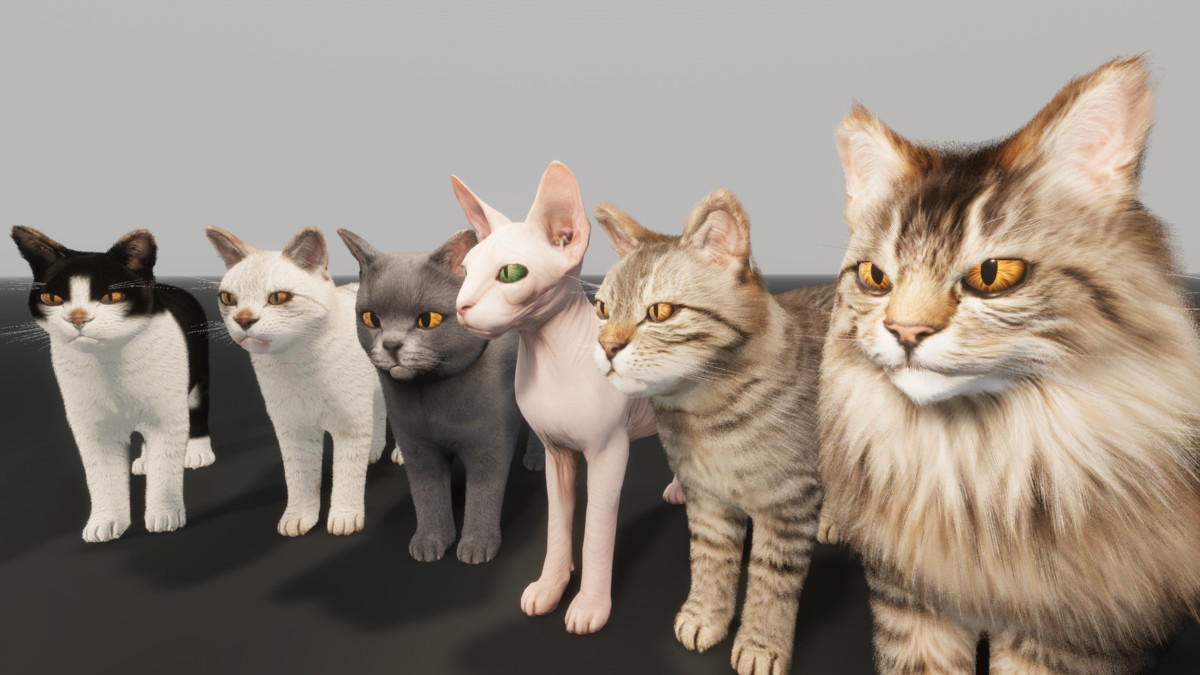 Realistic Cat Pack — Realistic Cat Pack