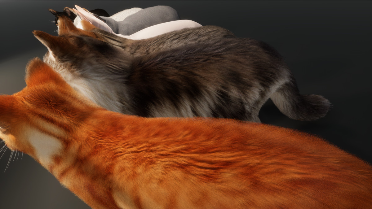 Cat fur detail