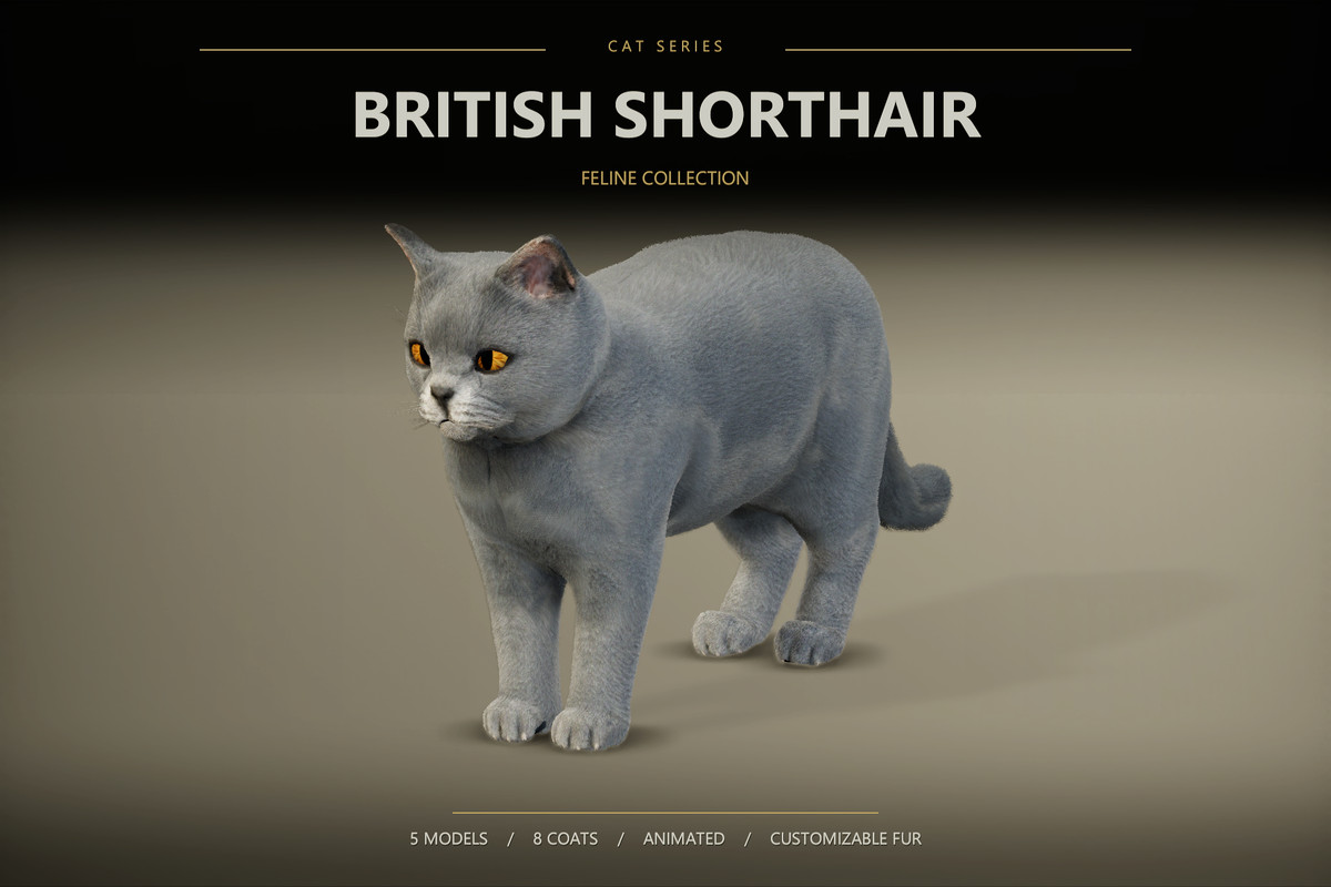 British Shorthair — Realistic Cat Pack