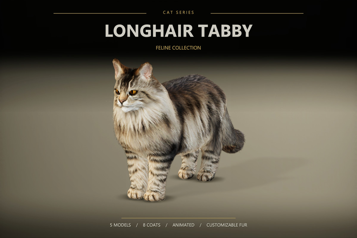 Longhair tabby — Realistic Cat Pack