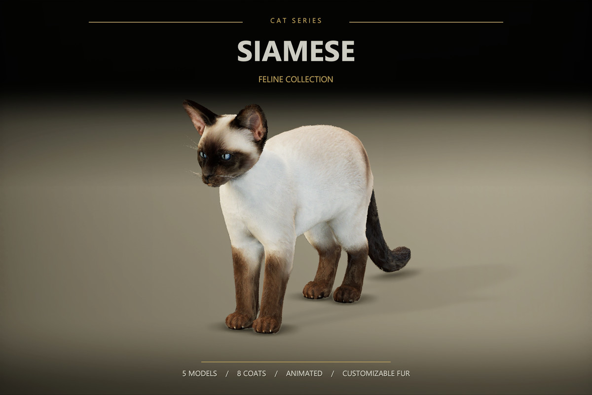 Realistic Cat Pack — image 6