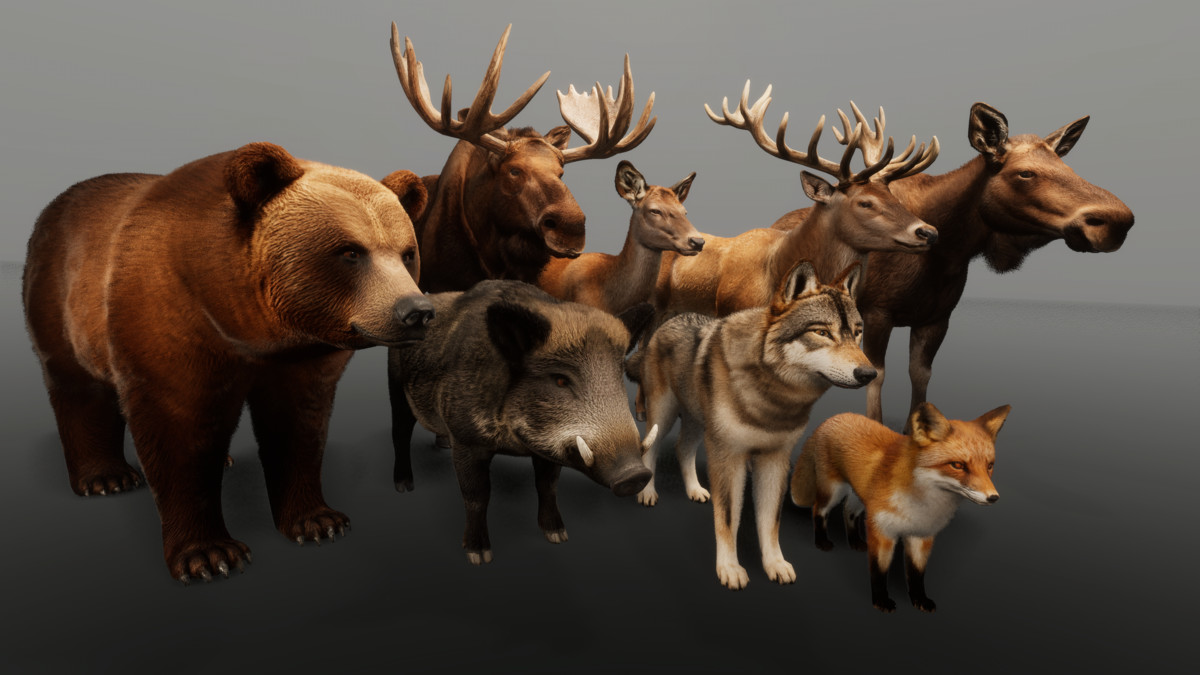 Ultrarealistic Forest Animals — Ultrarealistic Forest Animals