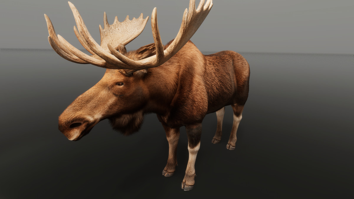 Ultrarealistic Forest Animals — image 4