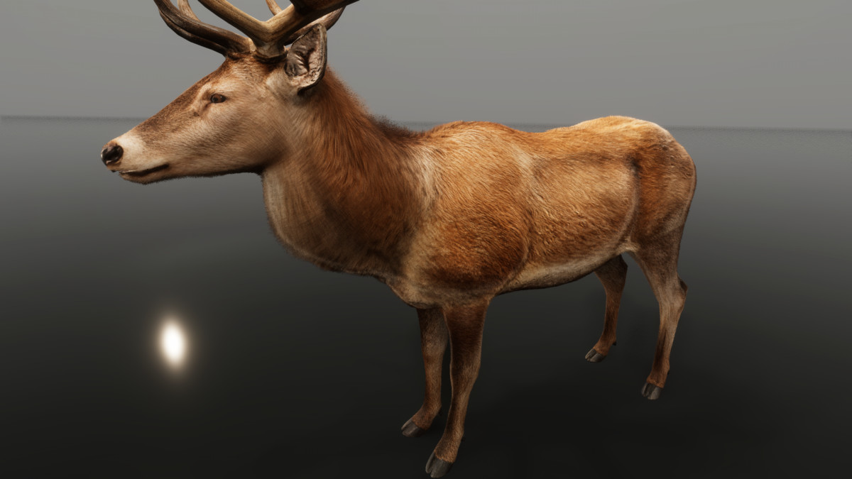 Ultrarealistic Forest Animals — image 3