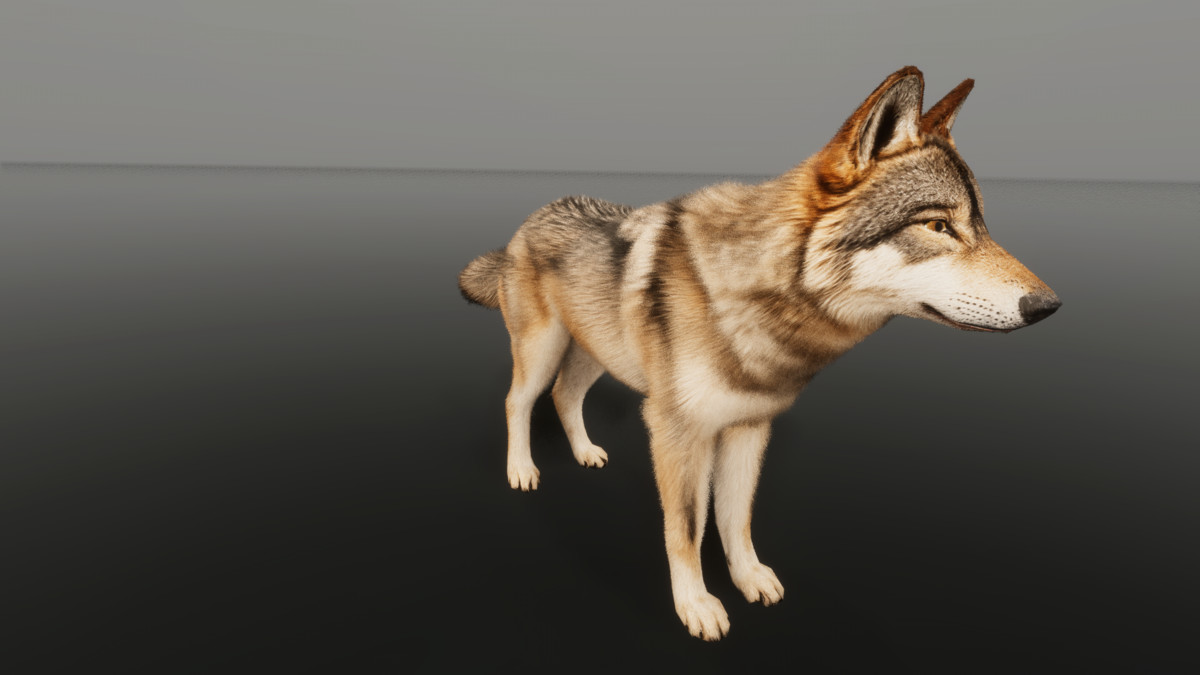 Wolf — Ultrarealistic Forest Animals