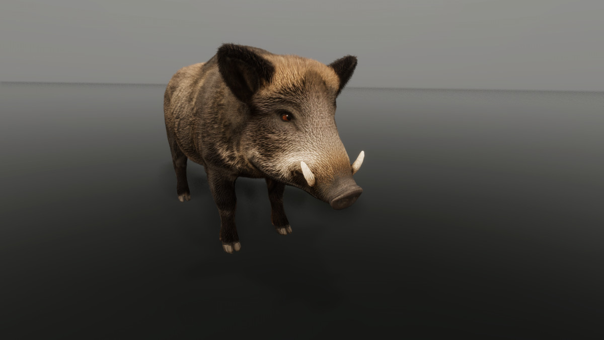 Ultrarealistic Forest Animals — image 9