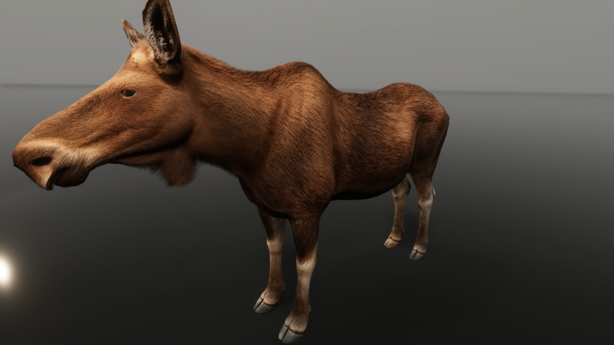 Ultrarealistic Forest Animals — image 6
