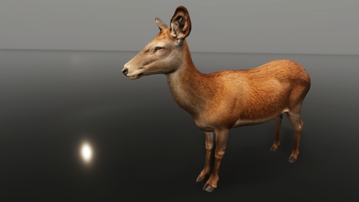 Ultrarealistic Forest Animals — image 5