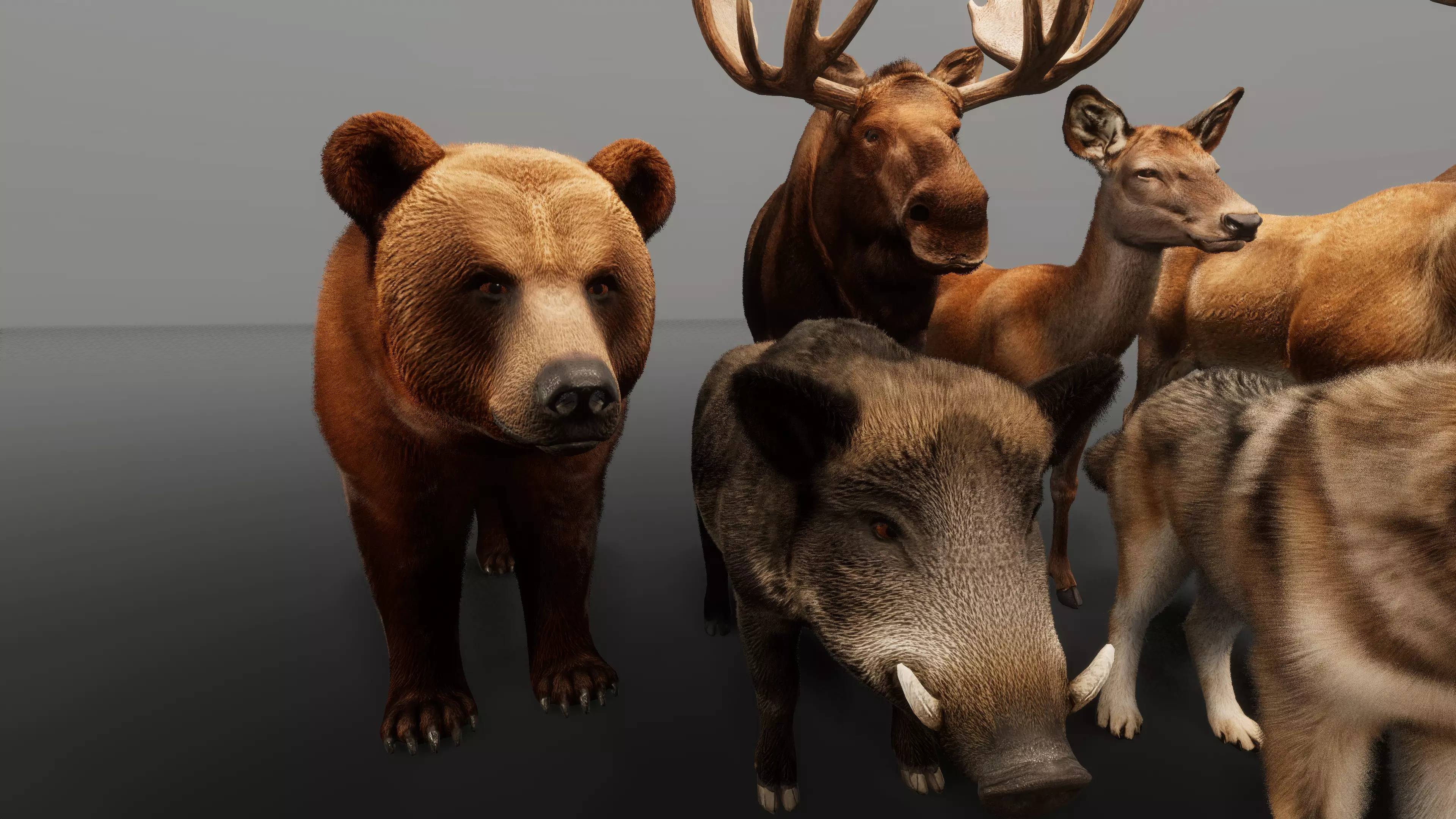 Forest animals — close-up