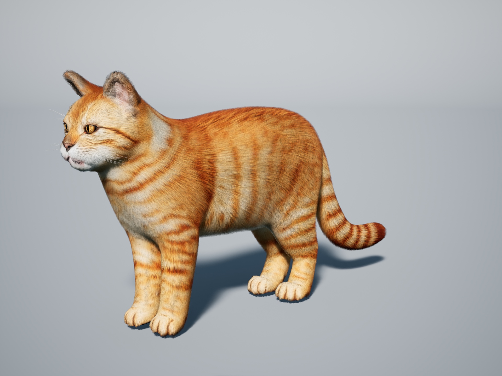 Realistic Cat Pack — image 2
