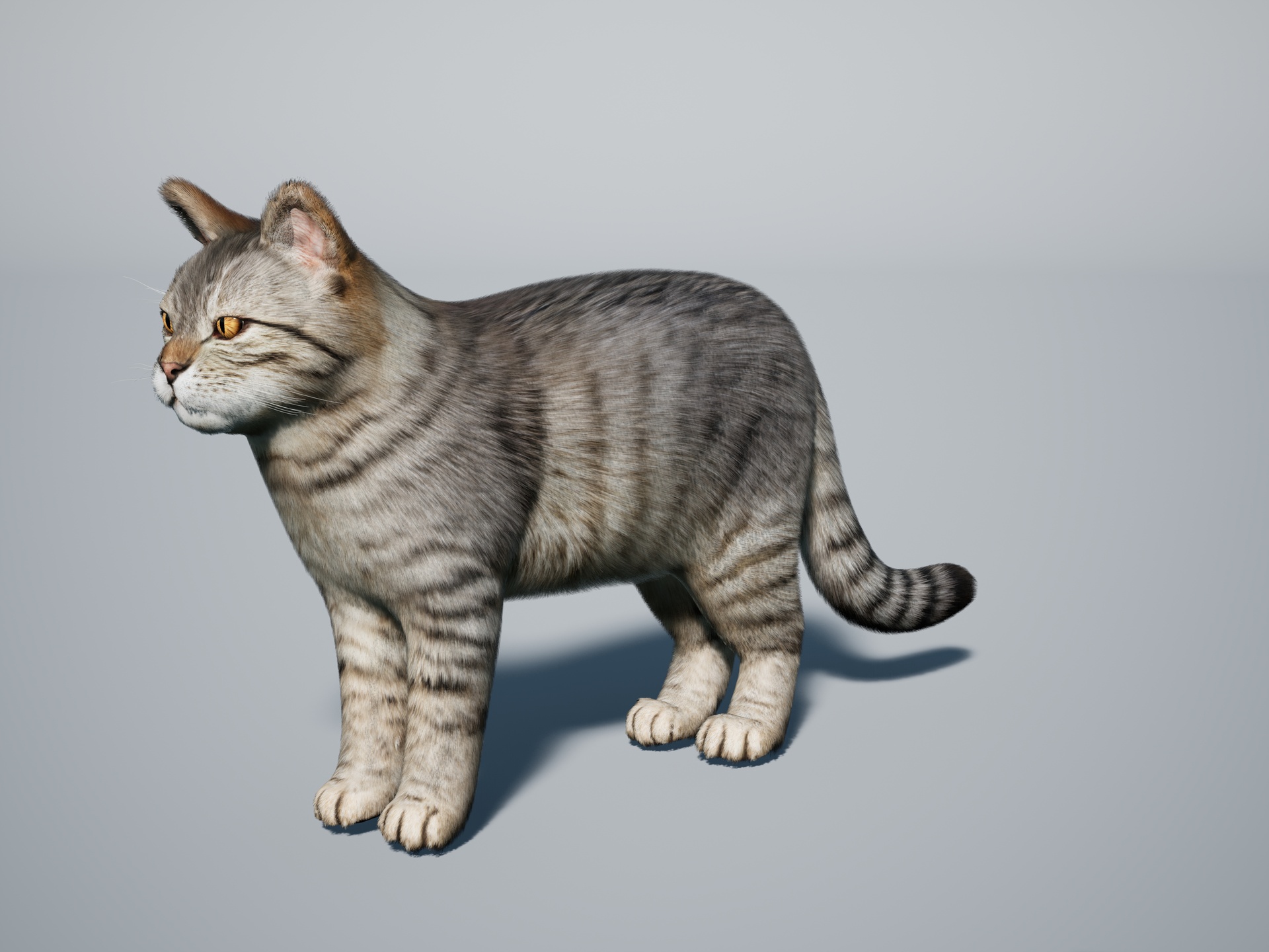 Realistic Cat Pack — product image