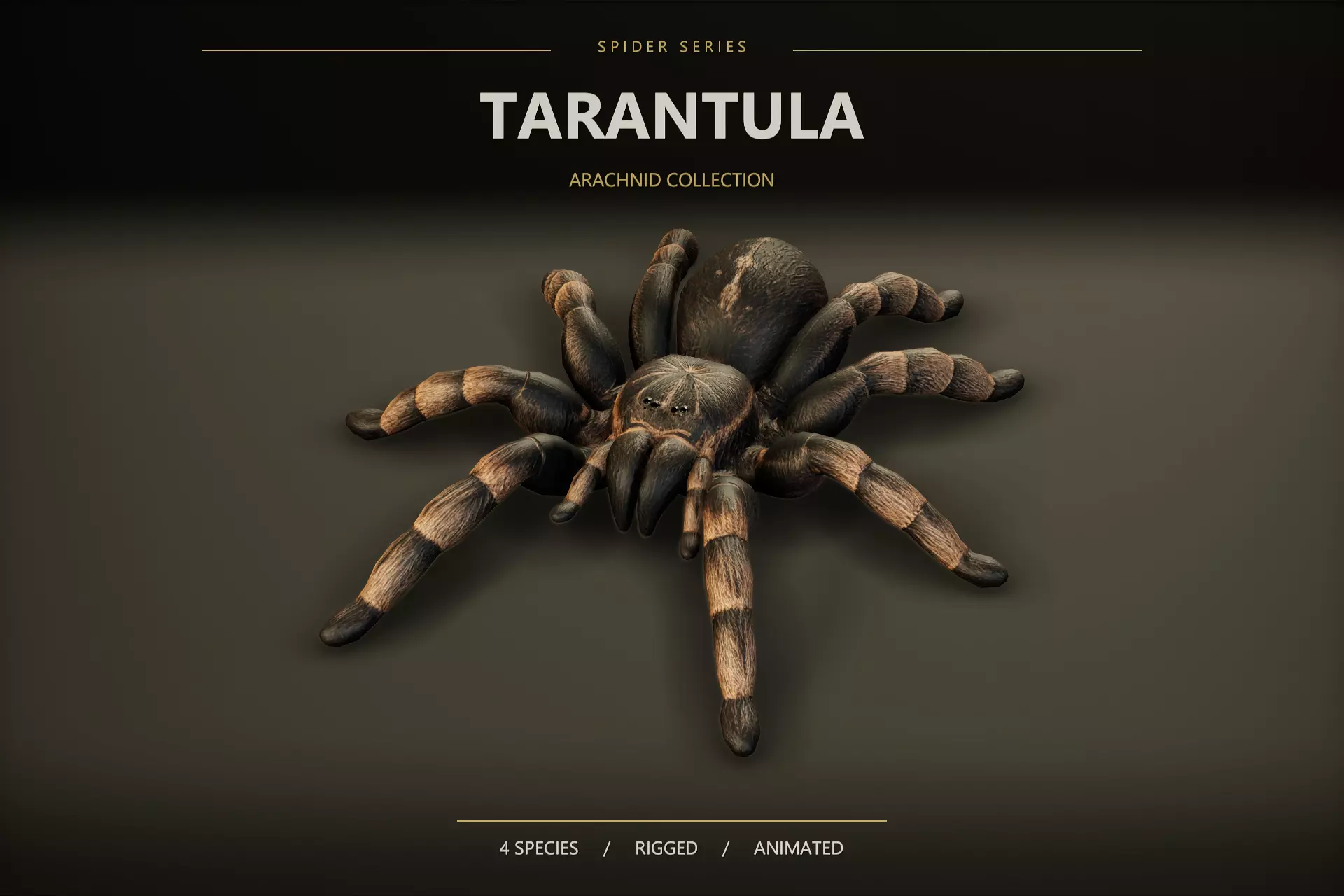 Tarantula