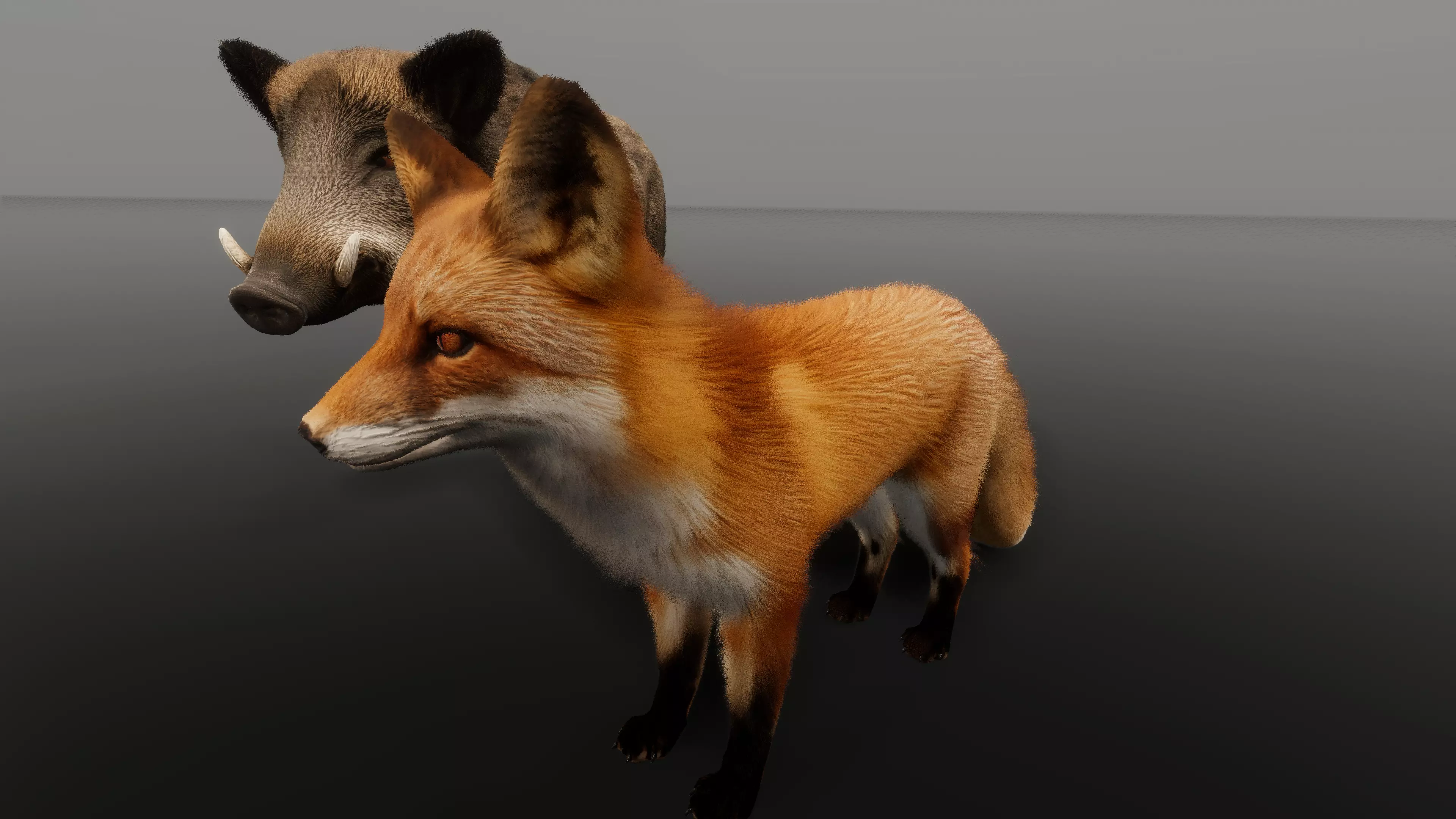 Red fox — close-up