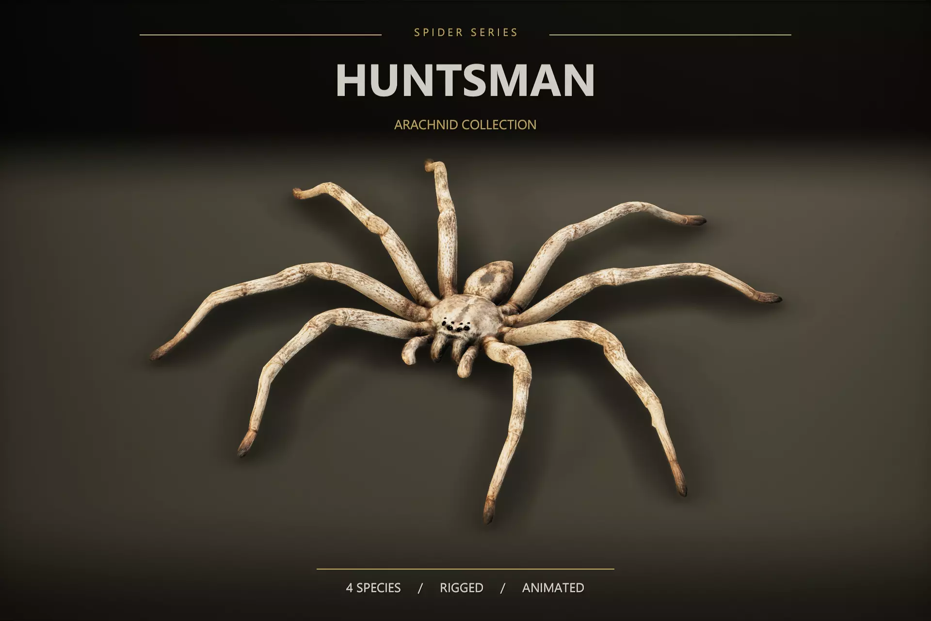 Huntsman