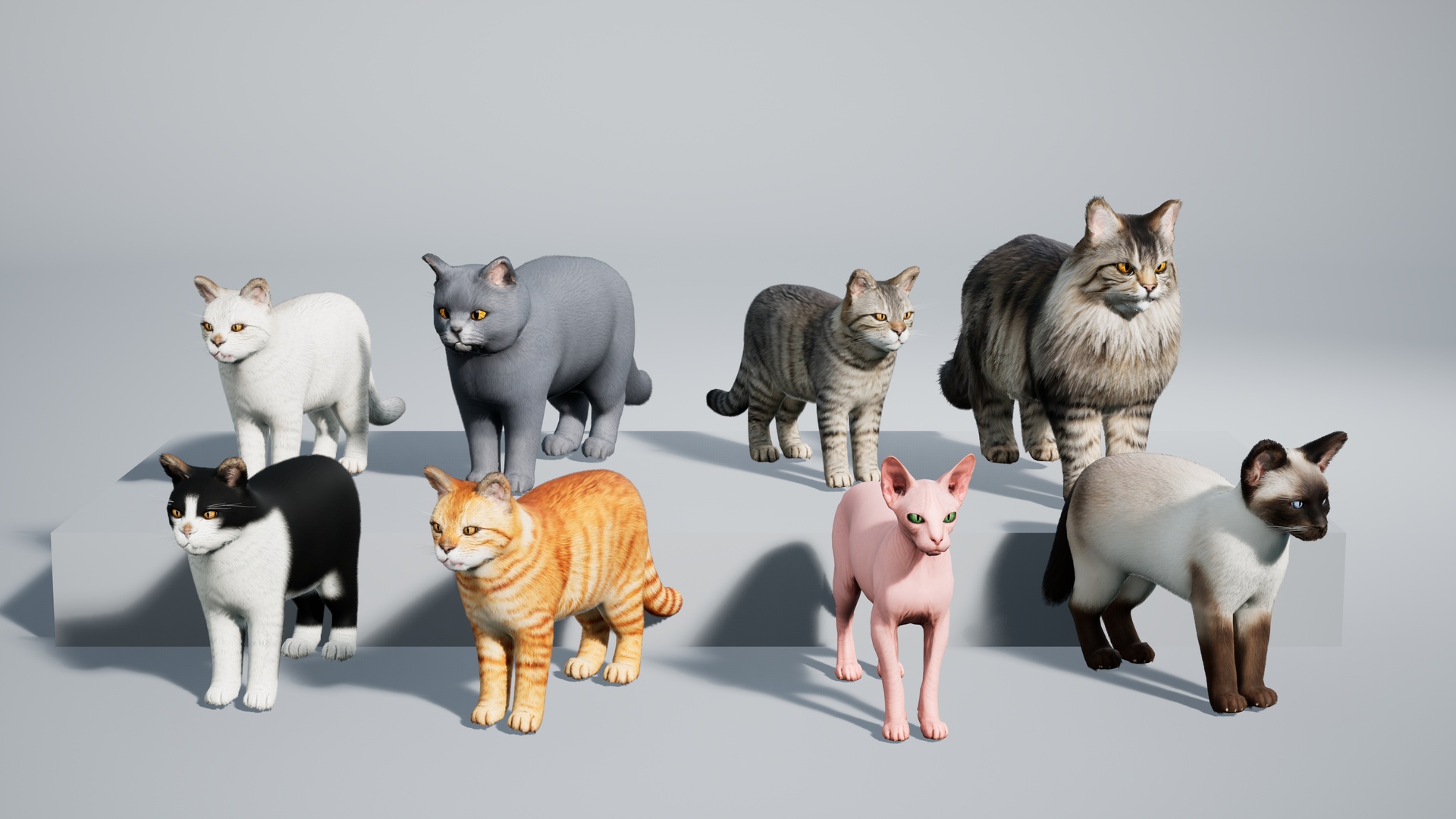Realistic Cat Pack — image 3