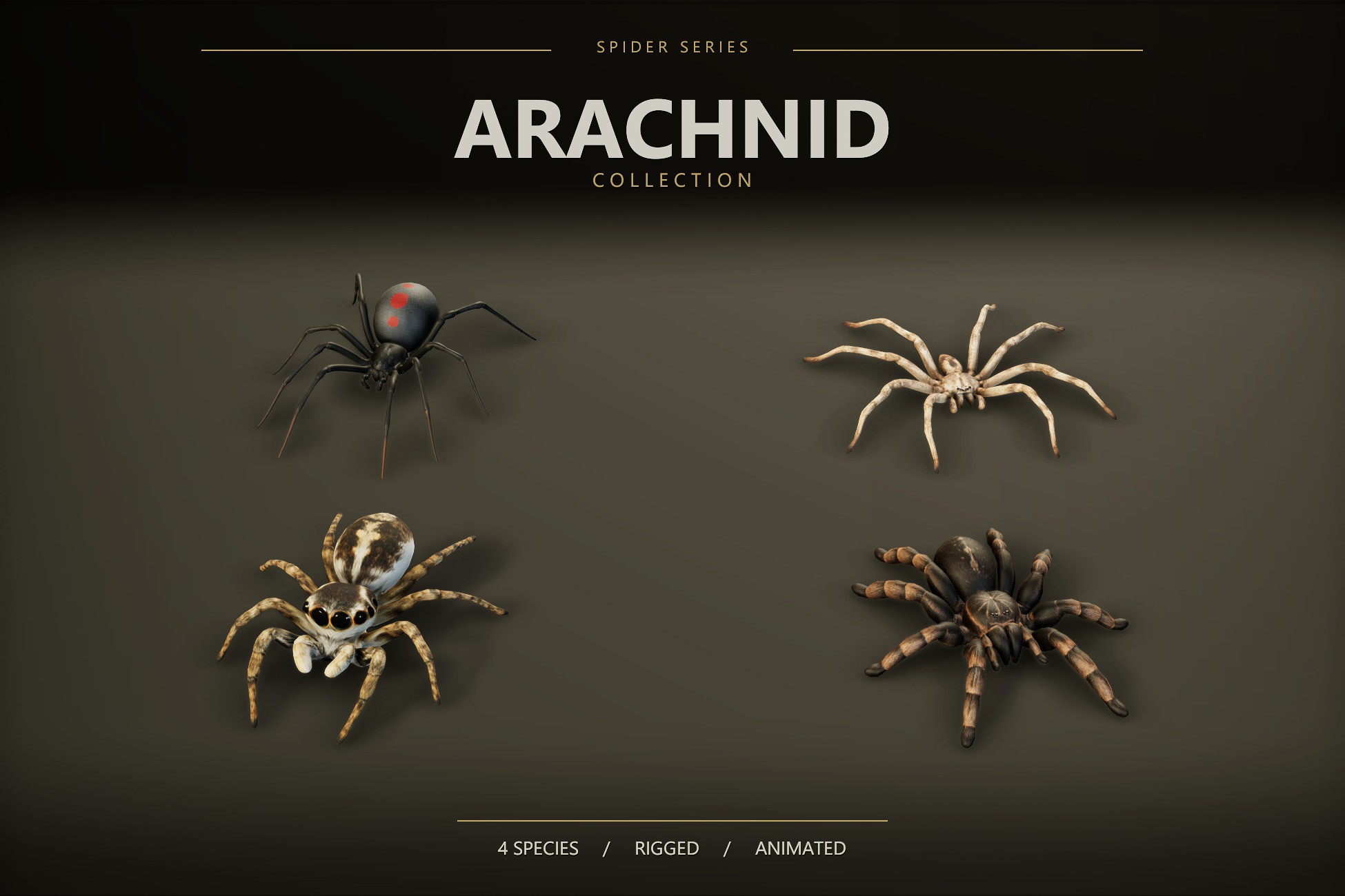 Arachnid Collection